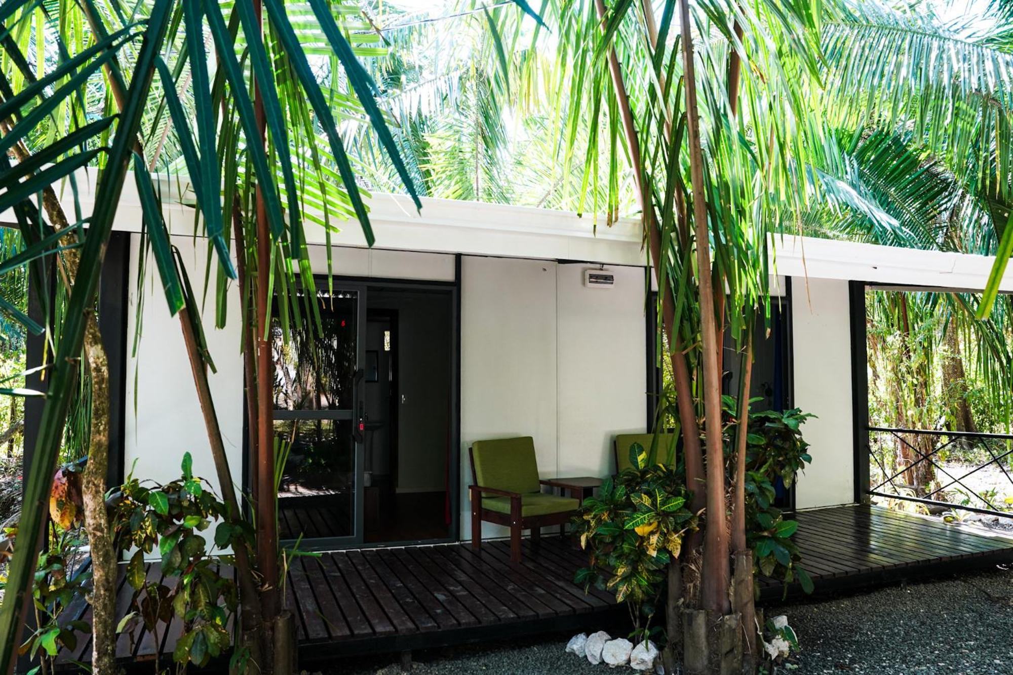 House In The Palm Forest Puerto Carrillo Eksteriør bilde