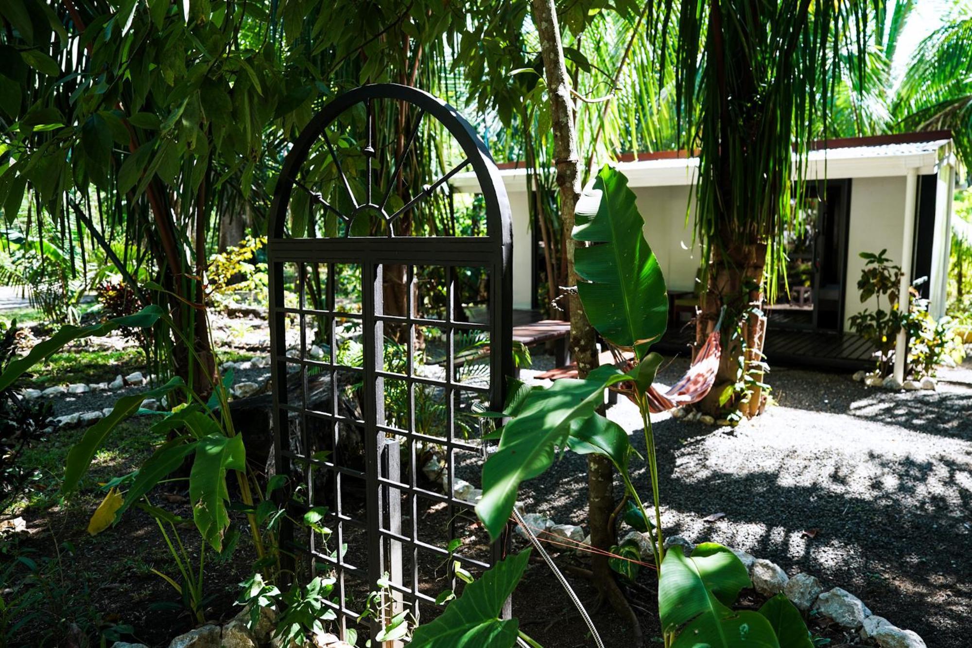 House In The Palm Forest Puerto Carrillo Eksteriør bilde
