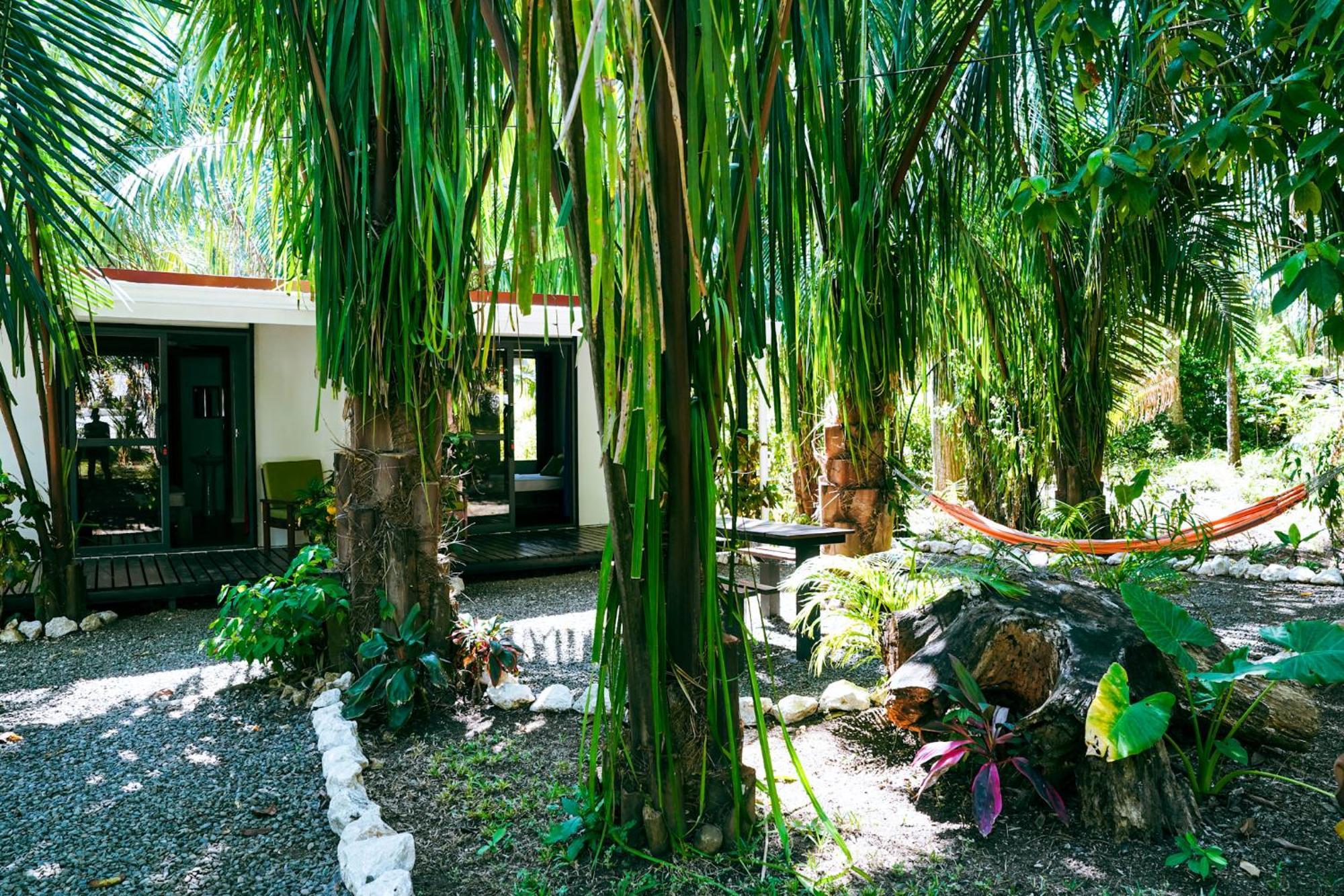House In The Palm Forest Puerto Carrillo Eksteriør bilde